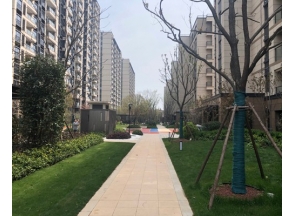上海園路