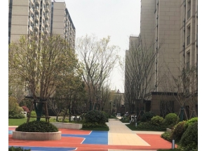 上海園路
